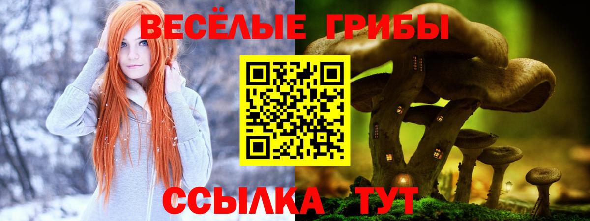 Псилоцибиновые грибы мухоморы Севастополь